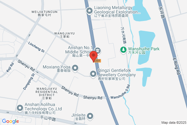 Zhongwei Company