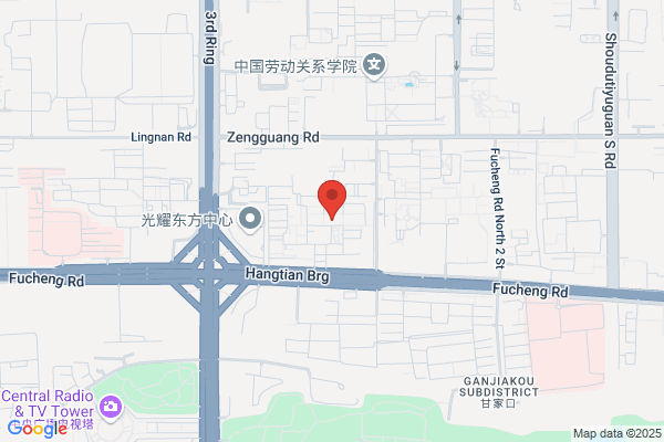 Beijing Branch-technology Companies