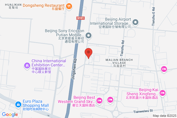 China Blue Sky Industry Company