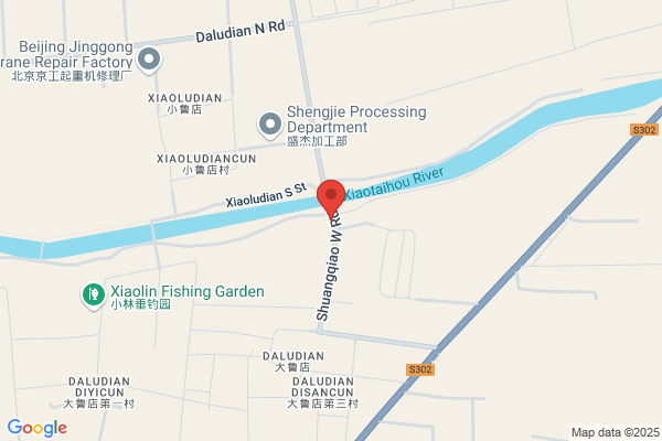 Chinese Paper Company
