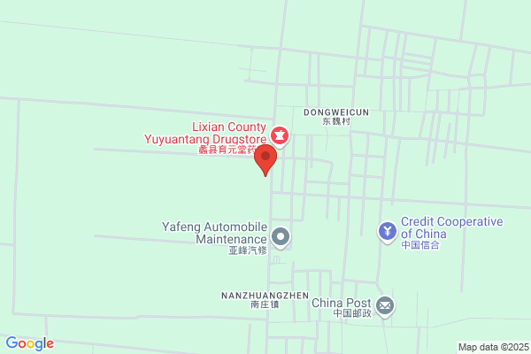 Napi County, Hebei Province Dianzitian Auto Parts Plant