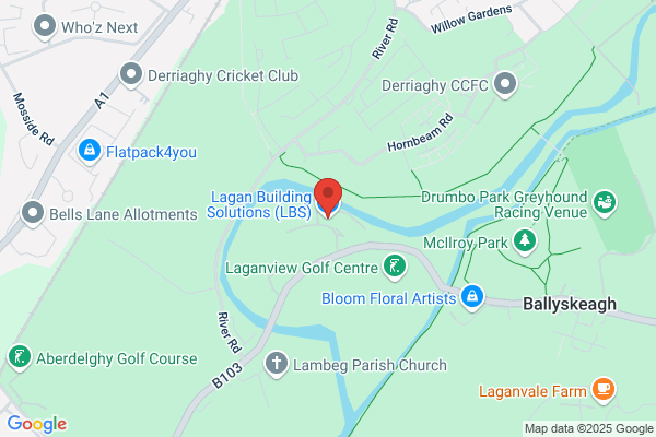 Langfang British Lisburn Group