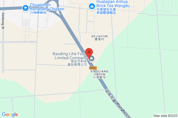 Bearing Plant In Hebei