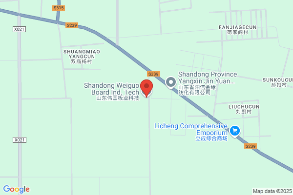 Shandong Qixing Kind Synthetic Material Company Ltd.