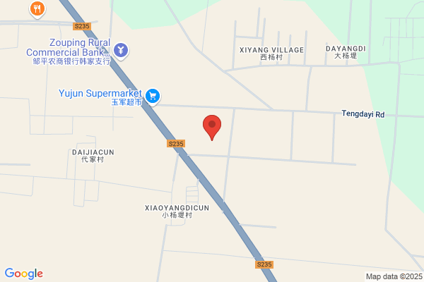 Shangdong Sanxing International Trade Co., Ltd.