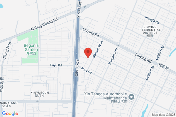 Changchun City Group Friends Of Laser Image Limited Liability Company