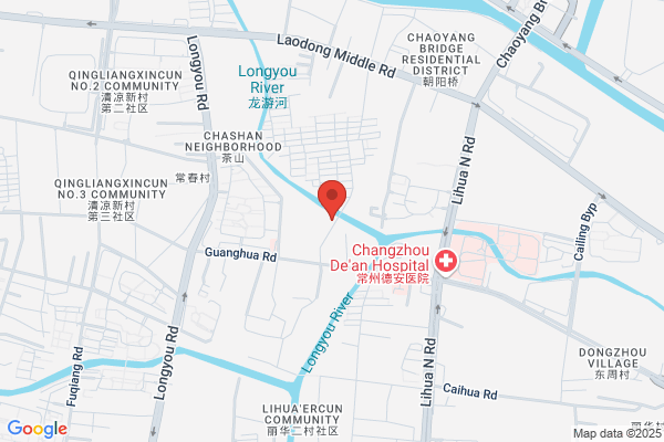 Changzhou Cars Expected To Reach The Golden Lion Group Limited; Changzhou Golden Lion Bicycle Group, Inc. Axis Paper Plant; Wujin City Lion Vehicle Plant