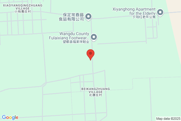 Wuqiao County Motor Plant