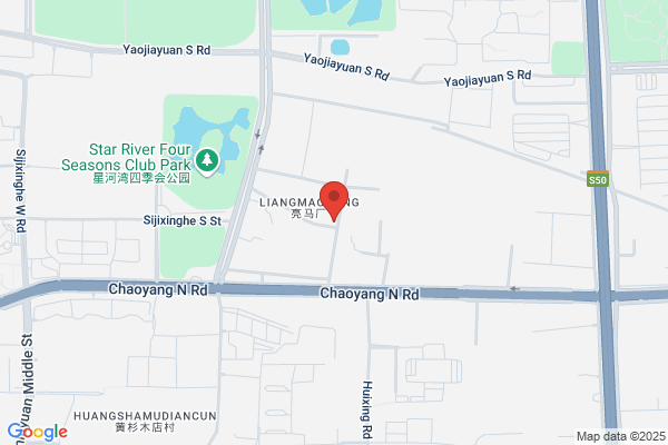 Chaoyang County Leatherette Plant