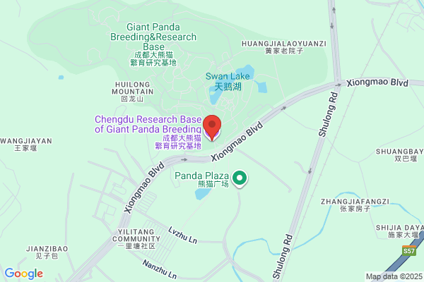 一風堂成都万象城分店 - Closed