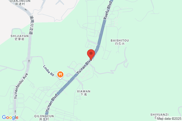 China Auto International Co., Ltd