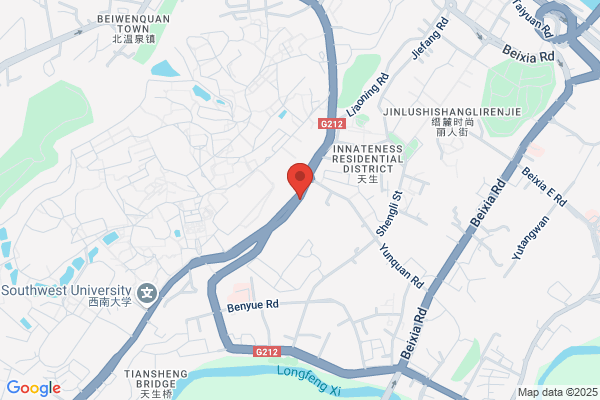 Chongqing Penglong Motorcycles & Accessories Co. Ltd