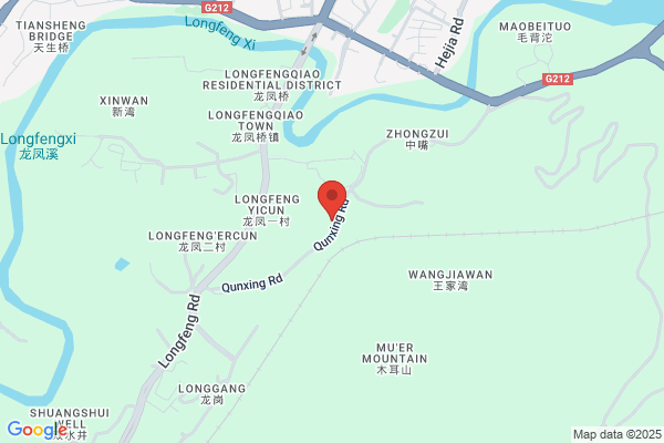 Chongqing Wiser Industries Co., Ltd