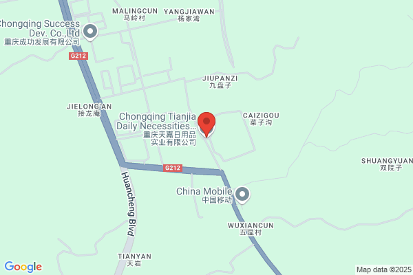 Chongqing Tianjia Daily Necessities Industry Co., Ltd