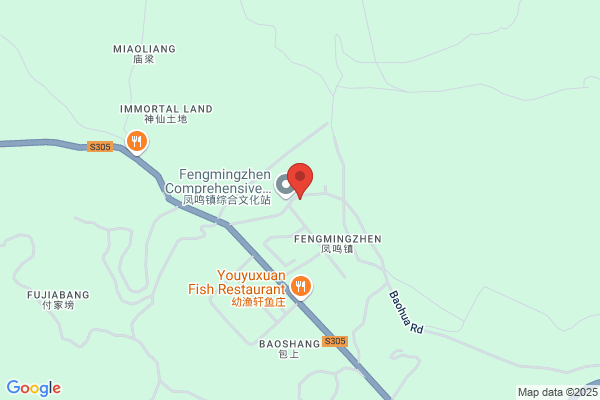 Jiangsu Fenghua Motor Parts Co Ltd