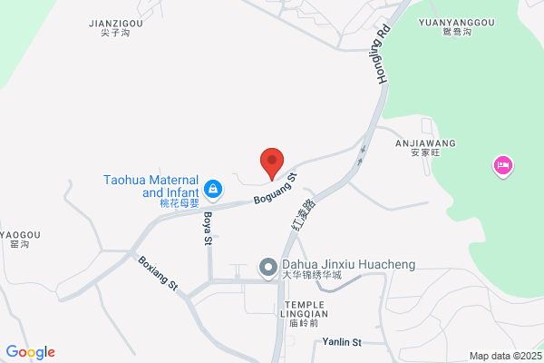 Dahua Group