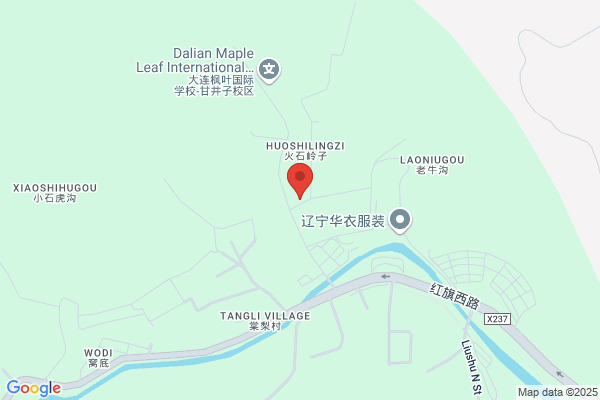 Dalian Machine Tool Co., Ltd. Vigorously Computer