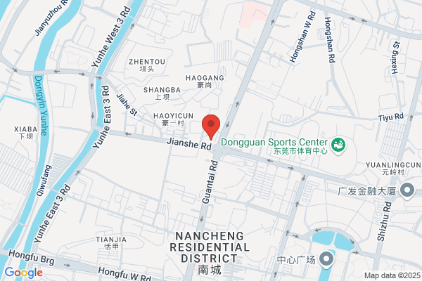 Dafong International Development Co., Ltd.