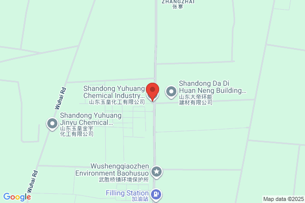 Dandong City Leather Chemical Plant