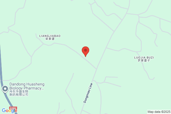 Dandong Dan Hong Kong Hualian Garment Co., Ltd.