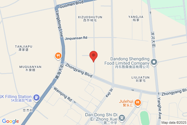 Dandong Chrysanthemum Electric Corporation