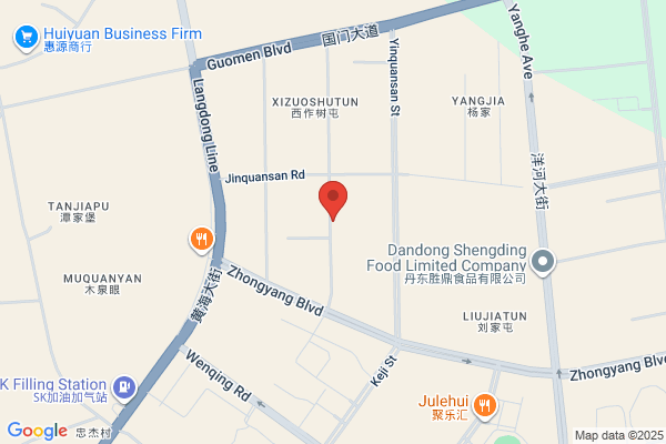 Dandong City Vibration Gsz Booming Mining Machinery Parts Factory