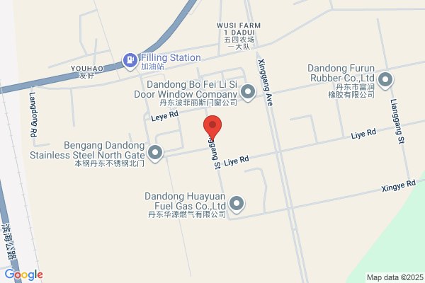 Dandong Light Auto Parts Plant