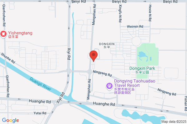 Dongying Qiangneng Electric Co.,ltd.