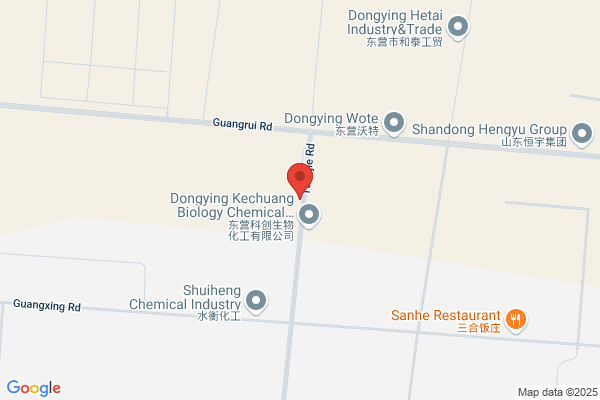 Shandong Dongfang Hualong Group