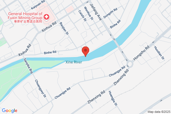 Second Pharmaceutical Plant In Fuxin City
