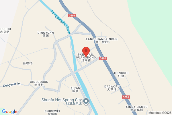 New Tang-dynasty Co., Ltd