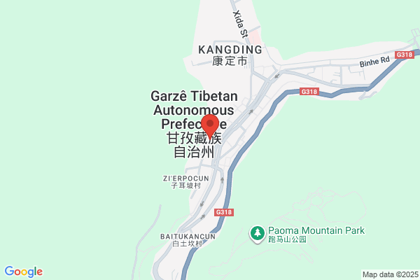 Chongqing Buyang Trading Co., Ltd.