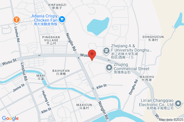 Zhejiang Linan Lan Ling Chemical Co., Ltd.
