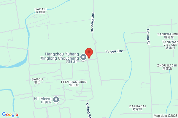Hangzhou Zhenhua Meter Factory