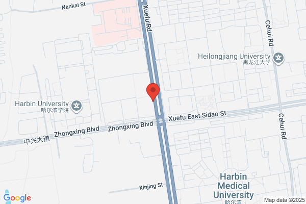 Heilongjiang Province Trendy Fashion Factory