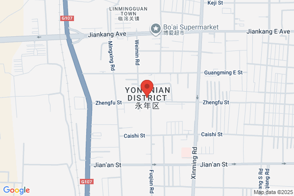 Yongnian County In Handan City, Hebei Province Motor Plant