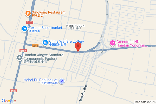 Yongnian County Yongxing Food Factory