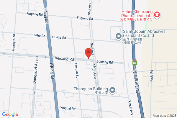 Handan Pharmaceutical Co., Ltd.