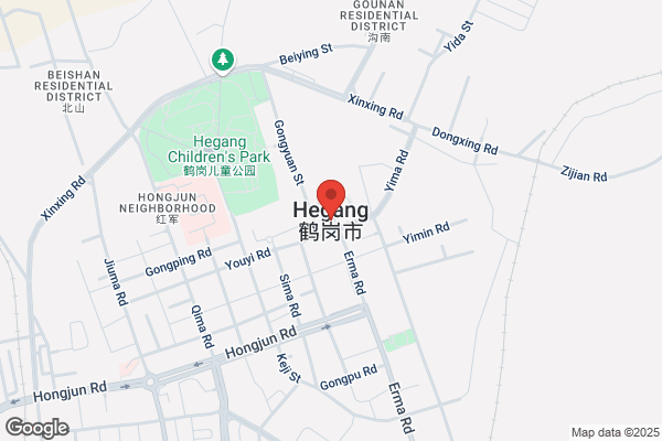 Hegang City Social Welfare Nail Factory