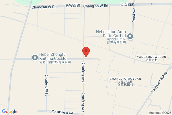 Hebei Hengshui Battery Group Co., Ltd.