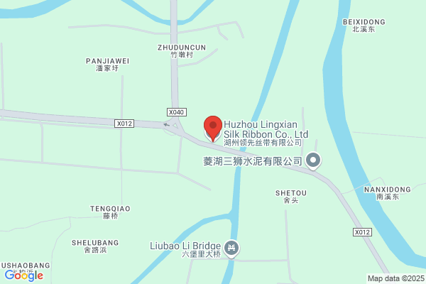 Zhejiang Silk Lung Group