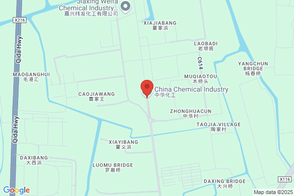 Jiaxing City Chinese Chemical Plant