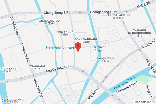 Purico Group Company(china)