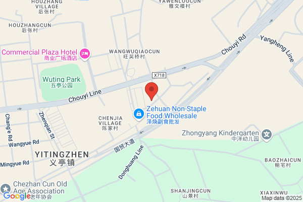 Zhejiang Qiye Scooter Co., Ltd.