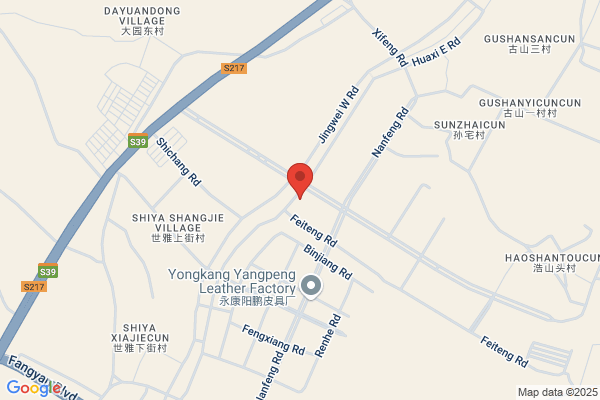 Zhejiang T. N. S. Factory, China