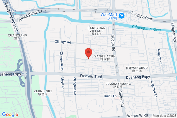 Hangzhou Daseng Toys Co., Ltd.