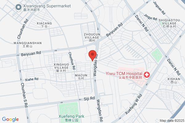 Zhejiang Electric Factory