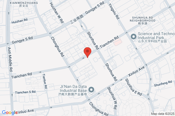 Shandong Shengli Co., Ltd