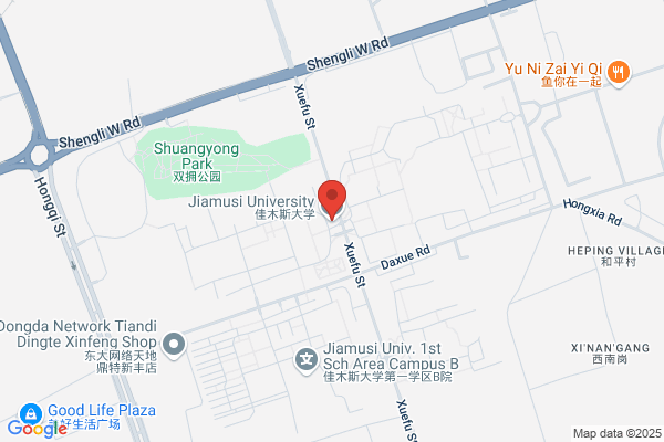 Jiamusi Chemical Plants; Jiamusi Heilonggang Chemical Industry Limited Liability Company