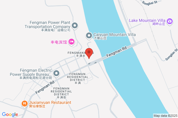 Fengman Power Plant In Jilin City Industrial Development Company